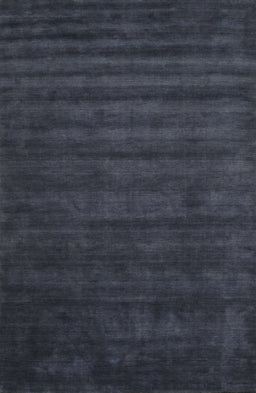 Machine Washable Contemporary Dark Slate Blue Rug, wshcon37