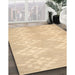 Contemporary Brown Gold Solid Rug in Family Room, con385