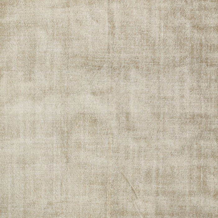 Contemporary Light French Beige Brown Modern Rug, con390