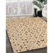 Contemporary Brown Gold Modern Rug in Family Room, con393