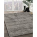 Machine Washable Contemporary Gunmetal Gray Rug in a Family Room, wshcon408