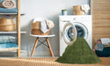 Machine Washable Contemporary Seaweed Green Rug in a Washing Machine, wshcon41