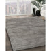 Machine Washable Contemporary Gunmetal Gray Rug in a Family Room, wshcon420