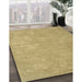 Contemporary Caramel Brown Modern Rug in Family Room, con421