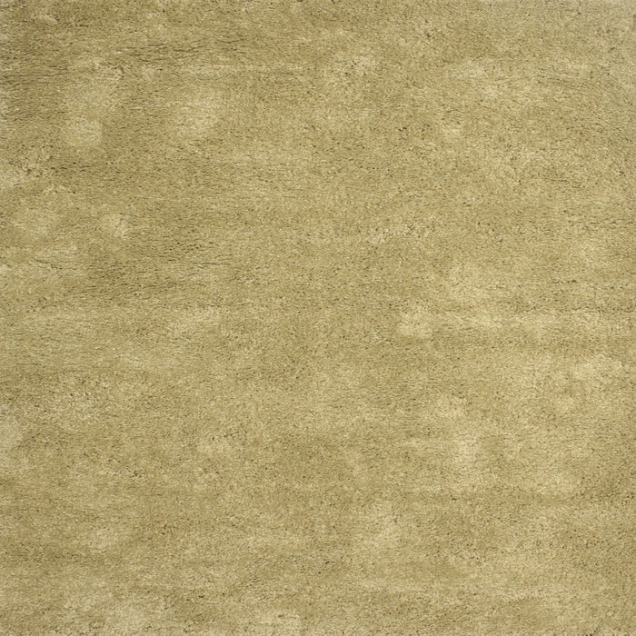 Square Contemporary Caramel Brown Modern Rug, con421