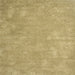 Square Contemporary Caramel Brown Modern Rug, con421