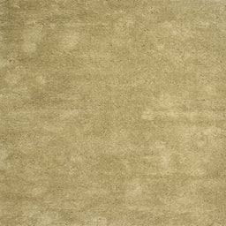 Sideview of Machine Washable Contemporary Caramel Brown Rug, wshcon421