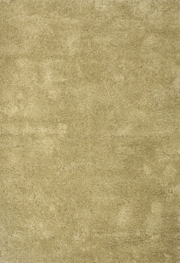 Contemporary Caramel Brown Modern Rug, con421