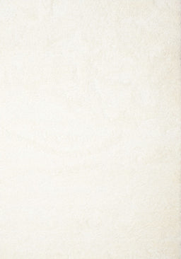 Contemporary Beige Solid Rug, con422