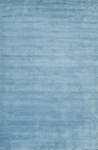 Machine Washable Contemporary Denim Blue Rug, wshcon43