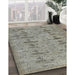 Machine Washable Contemporary Sage Green Rug in a Family Room, wshcon446