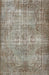 Contemporary Brown Modern Rug, con448