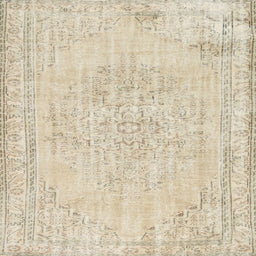 Square Contemporary Light French Beige Brown Modern Rug, con455