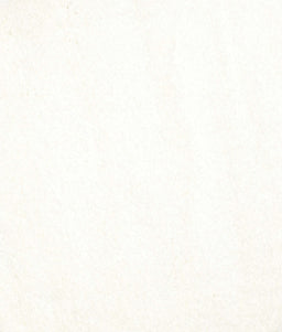 Contemporary Ivory White Solid Rug, con464