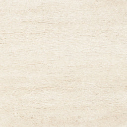 Sideview of Machine Washable Contemporary Blanched Almond Beige Rug, wshcon465