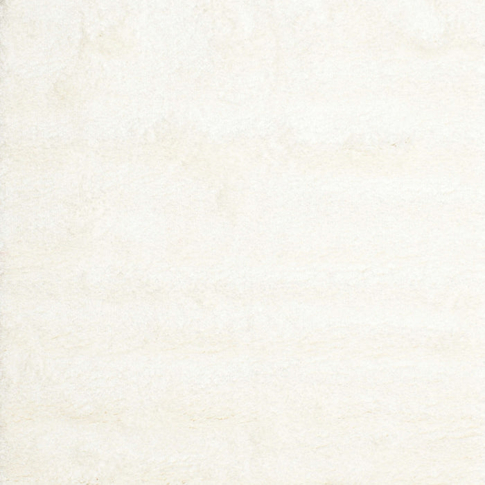 Contemporary Soft Ivory Beige Solid Rug, con472