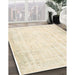 Machine Washable Contemporary Brown Rug in a Family Room, wshcon484