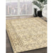 Machine Washable Contemporary Khaki Gold Rug in a Family Room, wshcon489