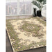 Machine Washable Contemporary Brown Rug in a Family Room, wshcon492