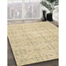 Machine Washable Contemporary Brown Gold Rug in a Family Room, wshcon494