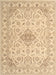 Contemporary Sand Brown Modern Rug, con499