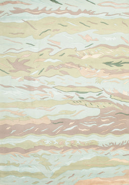 Contemporary Brown Modern Rug, con507