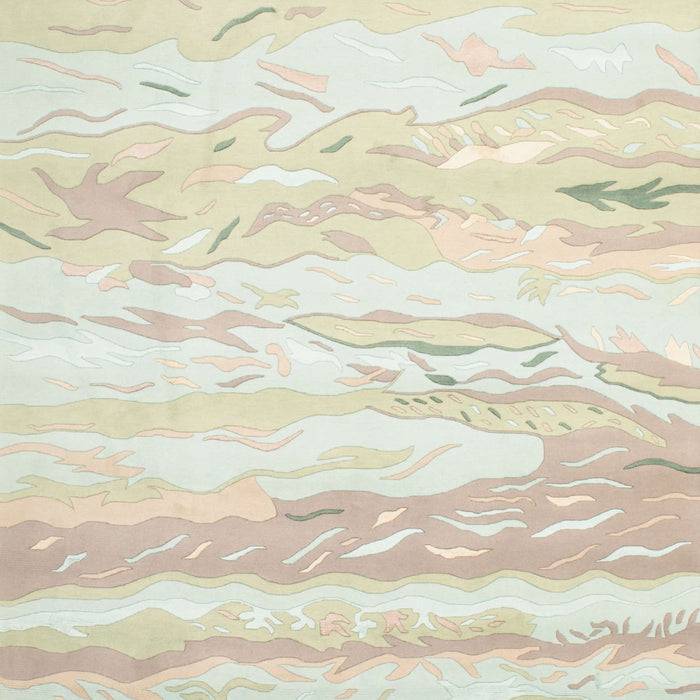 Contemporary Brown Modern Rug, con507