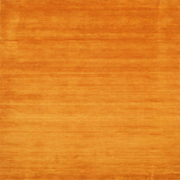 Sideview of Machine Washable Contemporary Dark Orange Rug, wshcon50