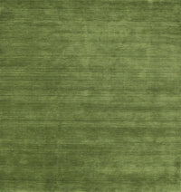 Machine Washable Contemporary Seaweed Green Rug, wshcon51