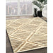 Machine Washable Contemporary Gold Rug in a Family Room, wshcon520