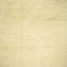 Square Contemporary Sun Yellow Solid Rug, con523