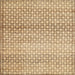 Square Contemporary Light Brown Modern Rug, con525