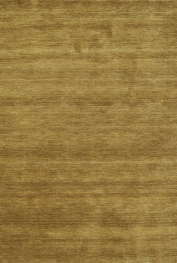 Contemporary Dark Brown Modern Rug, con55