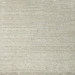 Machine Washable Contemporary Pale Silver Gray Rug, wshcon580