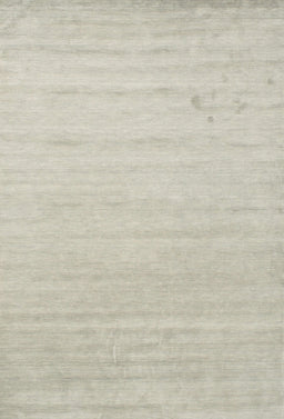 Machine Washable Contemporary Pale Silver Gray Rug, wshcon582