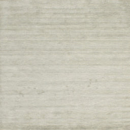 Sideview of Machine Washable Contemporary Pale Silver Gray Rug, wshcon583