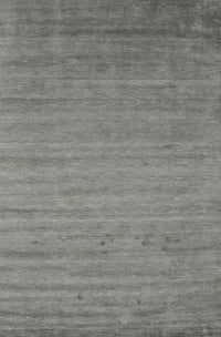 Machine Washable Contemporary Gray Rug, wshcon584