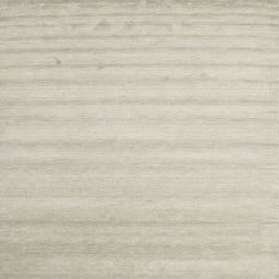 Square Contemporary Tan Brown Solid Rug, con590