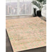 Machine Washable Contemporary Brown Rug in a Family Room, wshcon604