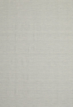 Machine Washable Contemporary Pale Silver Gray Rug, wshcon611