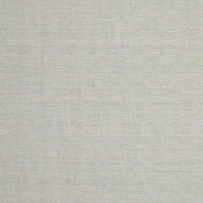 Contemporary Pale Silver Gray Modern Rug, con611