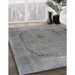 Machine Washable Contemporary Silver Gray Rug in a Family Room, wshcon615