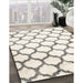 Contemporary Sage Green Trellis Rug in Family Room, con650