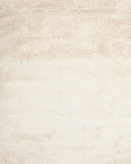 Contemporary Champagne Beige Solid Rug, con651