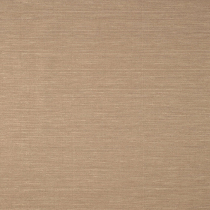 Square Contemporary Sand Brown Modern Rug, con715