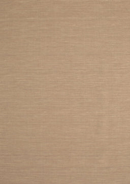 Contemporary Sand Brown Modern Rug, con715