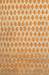 Contemporary Orange Modern Rug, con720