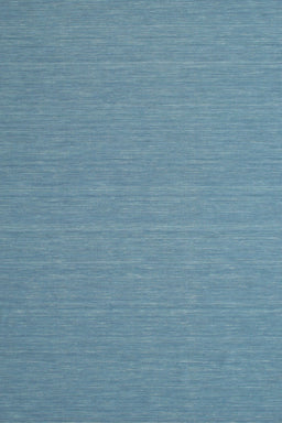 Contemporary Koi Blue Modern Rug, con722