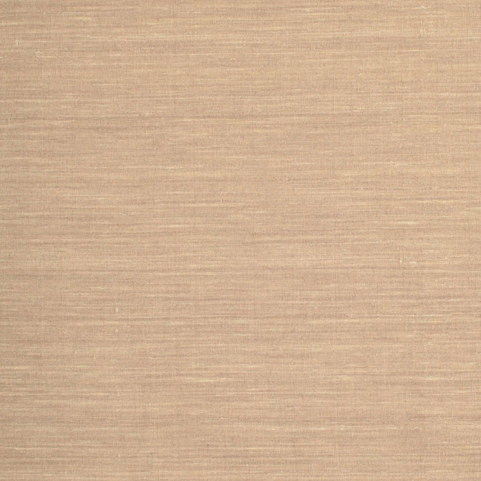 Contemporary Sand Brown Solid Rug, con724