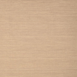 Square Contemporary Sand Brown Solid Rug, con724